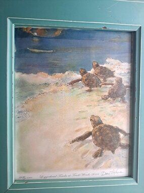 Watercolor Print "Loggerhead Tracks at TradeWinds 2014" 1093 of 3000 Framed